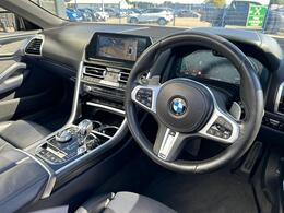 BMW 8 Series YJ19VVH
