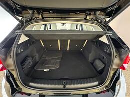 BMW X1 GX25HDD