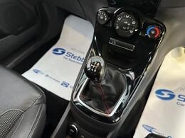 Ford Fiesta DX64JFU