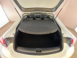 Vauxhall Insignia DS19CWU