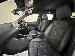 DS AUTOMOBILES DS 3 CROSSBACK CF21PLN