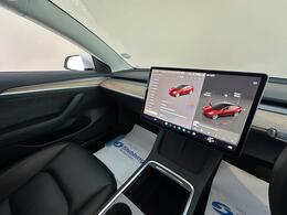 Tesla Model 3 AF72UVS