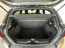Ford Fiesta WA19TNN