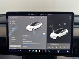 Tesla Model 3 BL21CYV