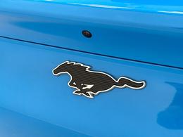 Ford Mustang Mach-E YS22LZC