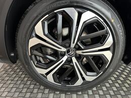 Citroen C5 X FL22WYY