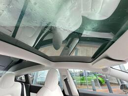 Tesla Model 3 YA69JVC