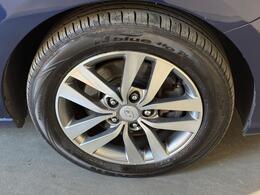 3847f7973c964c40b7c97e3d081e5f0b