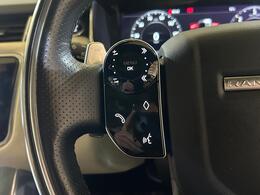 Land Rover Range Rover Sport AU20NHO