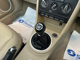 Volkswagen Beetle BT63YJE