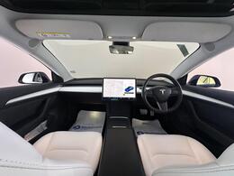 Tesla Model 3 ND21YWT