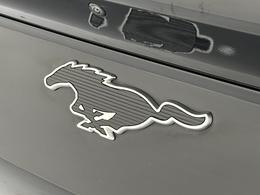Ford Mustang Mach-E YM22LRV