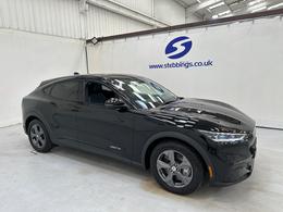 Ford Mustang Mach-E YM22LRV