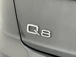 Audi Q8 DE71EBA