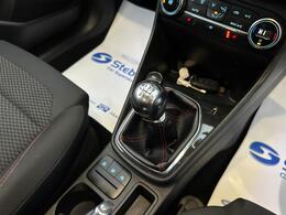 Ford Fiesta Van GM19XHT