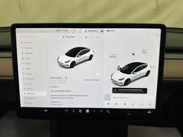 Tesla Model 3 YH21MYD