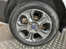 Ford EcoSport DK68ZXG