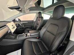 Tesla Model 3 AF22DGX