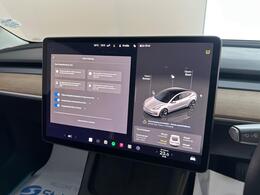 Tesla Model 3 AF72UVG
