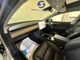 Tesla Model 3 MA71ZTX