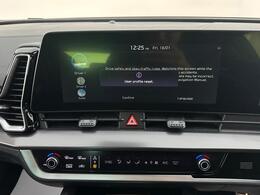 Kia Sportage CV73YSW