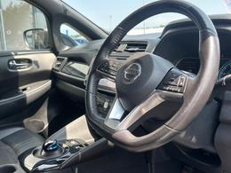 Nissan Leaf YG22WUU