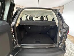 Ford EcoSport DK68ZXG