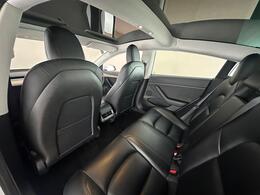 Tesla Model 3 AF22DVZ