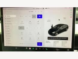 Tesla Model 3 ML69BVS