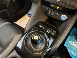 Nissan Leaf VN70YLU