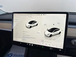 Tesla Model 3 AF72UVC