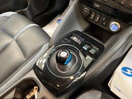 Nissan Leaf LT19GYF