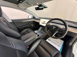 Tesla Model 3 MH23HFX