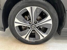 Nissan Leaf LT19GYF