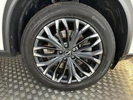 Nissan X-Trail AO24XVM
