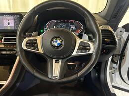 BMW 8 Series YJ19VVH