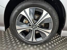 Nissan Leaf AP22EFD