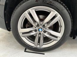 BMW X1 BN21WRG