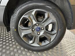 Ford EcoSport DK68ZXG