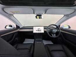 Tesla Model 3 AF72VVL