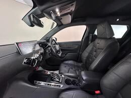 DS AUTOMOBILES DS 3 CROSSBACK CF21PLN