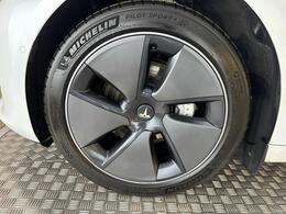 Tesla Model 3 AF72UVG