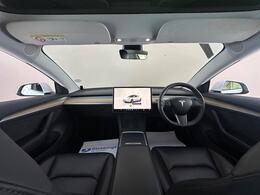 Tesla Model 3 AF22DVZ