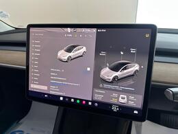 Tesla Model 3 AF72UVG