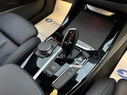 BMW X3 BA21GVG