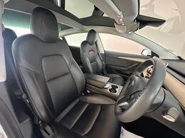 Tesla Model 3 AF22DVZ