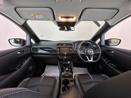 Nissan Leaf AP22EFD