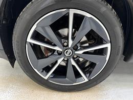 Nissan Qashqai DY22MGU
