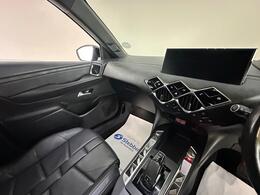 DS AUTOMOBILES DS 3 CROSSBACK CF21PLN