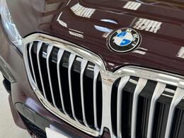 BMW X7 AP21DXA
